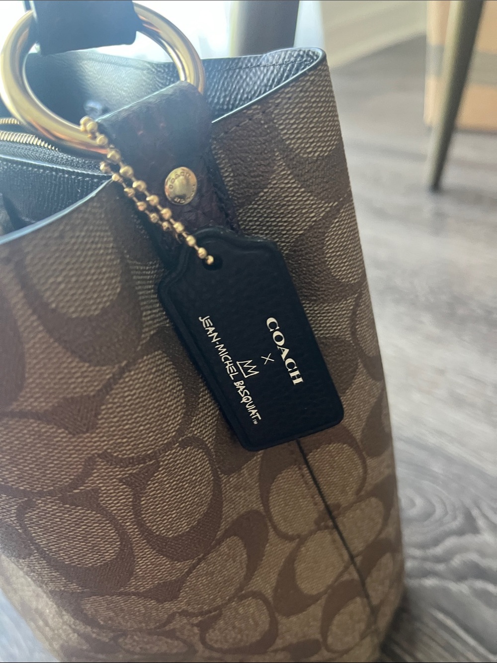 Coach X Jean-Michel Basquiat Dino bucket bag - Gem